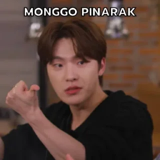 🤫 emoji GOING SEVENTEEN ONCE SAID Telegram sticker 8 of 43