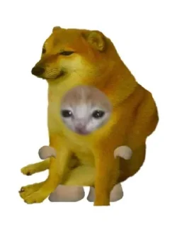 🐈‍⬛ emoji Kool kids Telegram sticker 14 of 29