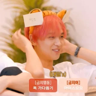 🐯 emoji haechan rambut merah pacar @sungchanjeokng Telegram sticker 24 of 32