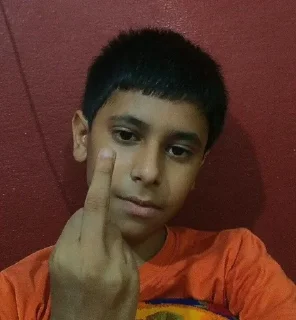 🖕 emoji Ubioz ke Bhature Telegram sticker 19 of 64