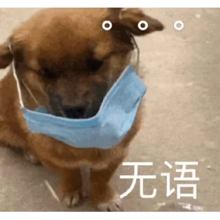 🐶 emoji 世界杯55%返佣⚽️ @zongjian Telegram sticker 8 of 120