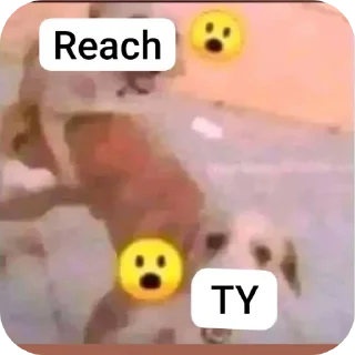 👄 emoji Nigga Telegram sticker 17 of 22
