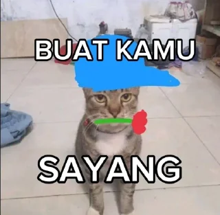 Sticker from kucing