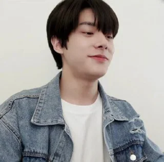 🎐 emoji ׂ ʬʬʬ @sungchanloafss 𓂃 Telegram sticker 21 of 30