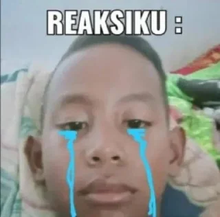 😭 emoji acumalaka Telegram sticker 11 of 65