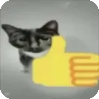🐱 emoji Idk Telegram sticker 8 of 116