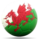 🇱🇰 emoji UEFA Euro Telegram sticker 18 of 104
