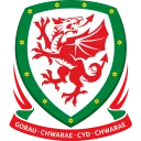 🇱🇰 emoji UEFA Euro Telegram sticker 17 of 104