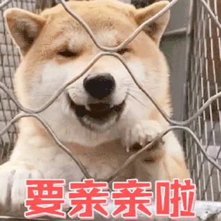 😊 emoji 更多表情 @appmail 频道搜索 @S_Suo8 Telegram sticker 7 of 50