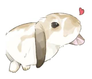 🐇 emoji ⋆ Taremimi rabbit mix! ࿈ 𖡻 @petiteyeux Telegram sticker 14 of 40