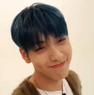 ⚜ emoji SOOBIN TXT @SEMPENA Telegram sticker 10 of 105