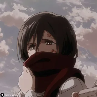 🍂 emoji Mikasa Ackerman Telegram sticker 21 of 58