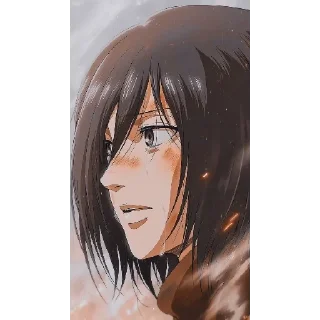 👀 emoji Mikasa Ackerman Telegram sticker 7 of 114