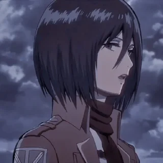 🍂 emoji Mikasa Ackerman Telegram sticker 20 of 58