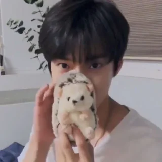 🐰 emoji ଘ ˖  @stickievan tꪱny doyoung Telegram sticker 8 of 40