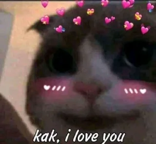 🐈 emoji Kucing sange Telegram sticker 5 of 25