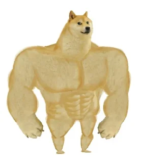 💪 emoji Funny Animals @ptat7 @cricket64 Telegram sticker 14 of 70