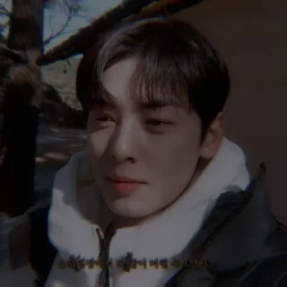 🦅 emoji ⎙ ⁝ cha eun-woo @oceanbea 〄 ִֶָ Telegram sticker 20 of 41
