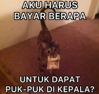 😎 emoji abim punya prat 2 Telegram sticker 12 of 31
