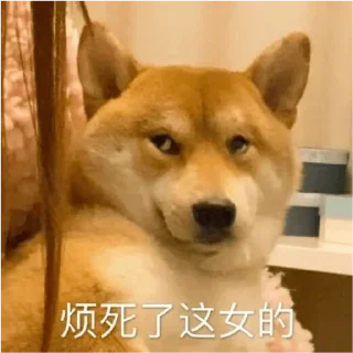 😮 emoji yoyo宠物商城  @Ginlll Telegram sticker 23 of 120