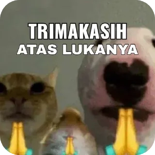 🐱 emoji senja mirip winter aespa Telegram sticker 4 of 29