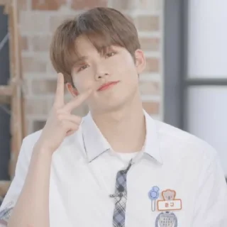 🐥 emoji Junkyu @alexxachrys Telegram sticker 24 of 26