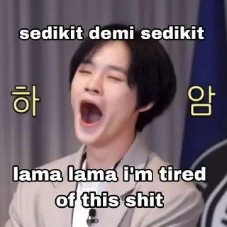 Sticker from kpop meme @shinryours