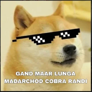 🌟 emoji DOGLO KI PELAI Telegram sticker 10 of 120
