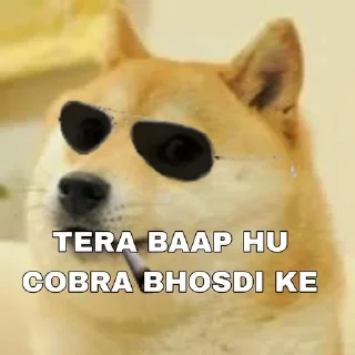 🌟 emoji DOGLO KI PELAI Telegram sticker 8 of 120