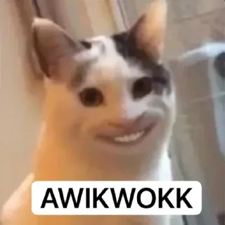 😁 emoji Arica mood @aricafnbrgzw_i Telegram sticker 9 of 65