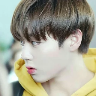 🍒 emoji aksa as jihoon @aksalandra Telegram sticker 18 of 79