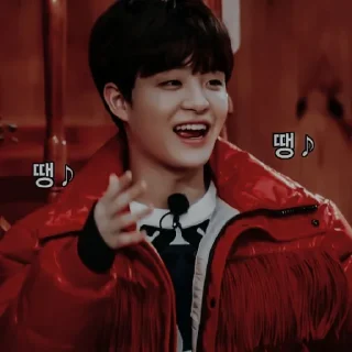 💣 emoji 💣 Delvin as Jihoon - @Zelstuff Telegram sticker 13 of 61
