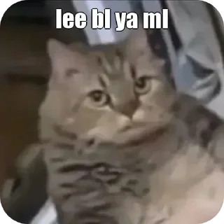 🖼 emoji ဝေယံLee Lee Telegram sticker 10 of 49