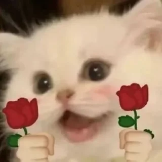 🌹 emoji Namanya bercanda @NakamuuraKazuha Telegram sticker 15 of 64