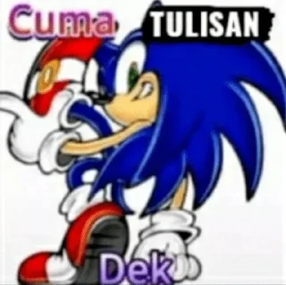 Sticker from SONIC NIH DEKK