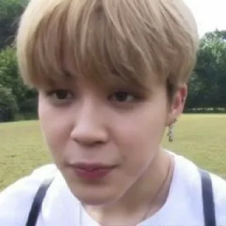 🧩 emoji park chimchim unfilt - @bang7anstickers Telegram sticker 21 of 30