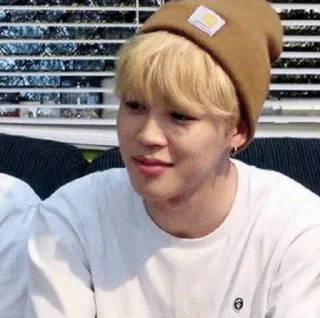 🧩 emoji park chimchim unfilt - @bang7anstickers Telegram sticker 19 of 30