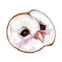 ☺️ emoji Owl Telegram sticker 13 of 107