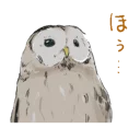 😧 emoji Owl Telegram sticker 6 of 107
