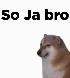 😂 emoji United Stickers of Doge Telegram sticker 24 of 70