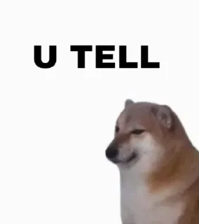 😌 emoji United Stickers of Doge Telegram sticker 17 of 70