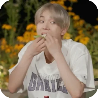 ✋ emoji Heeseung @Suzyxc Telegram sticker 3 of 39