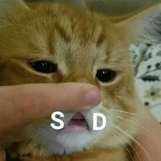 🙁 emoji Catz Telegram sticker 9 of 39