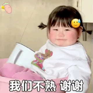 🪡 emoji SAL摇四摇小肉丸 @BeiMiaoYa Telegram sticker 7 of 50