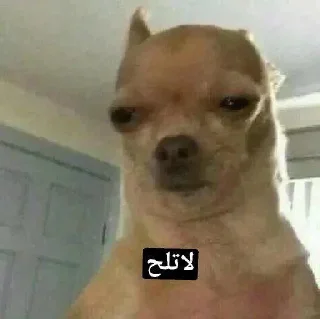 🗿 emoji جلاب VIP 𝐁𝐘 : @SticZ_Bot Telegram sticker 24 of 116