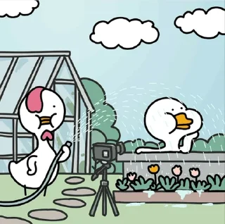 🐤 emoji ducklings sungkem @foolssticker Telegram sticker 17 of 111
