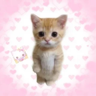 💌 emoji cutest 💌 Telegram sticker 5 of 27