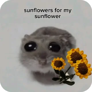 Sticker from Lmao