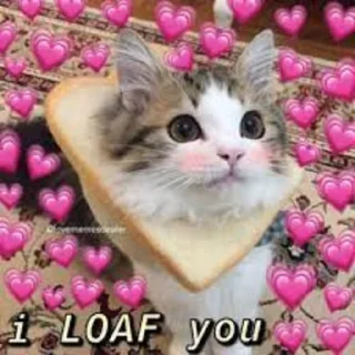 🥰 emoji MemeXPro Vol.3 : Republic of Meme Telegram sticker 17 of 120