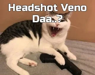 🔫 emoji Funny cat [ @OWNER_OF_S0UL ] Telegram sticker 11 of 79
